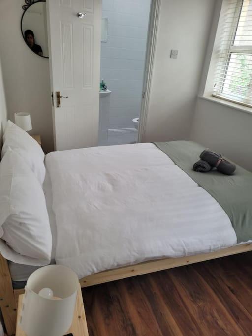 Stylish 4 Bedroom Dublin House Εξωτερικό φωτογραφία