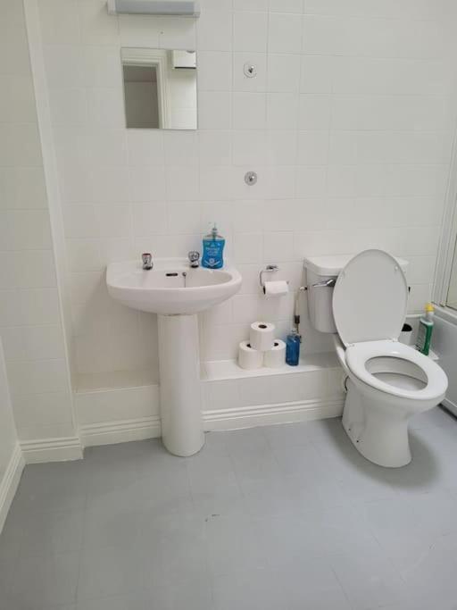 Stylish 4 Bedroom Dublin House Εξωτερικό φωτογραφία